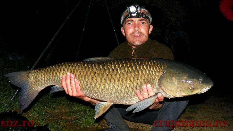 CONCURS LIKE-URI  - VOT PE FACEBOOK  - Ionut Burcea